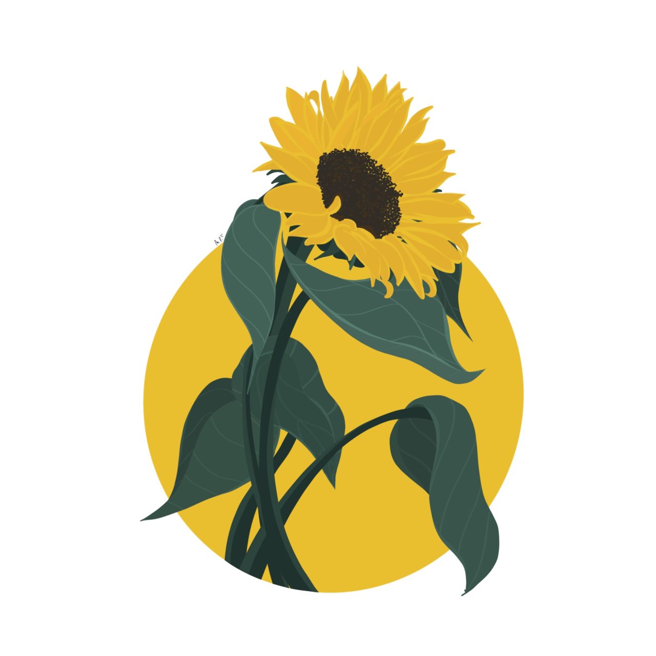 Illustration tournesol